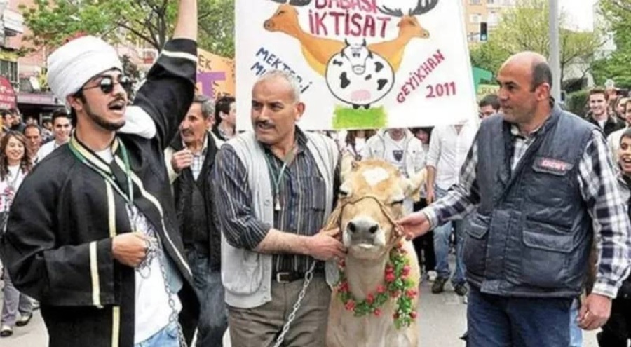 Mülkiyelilerin İnek Bayramı iptal edildi