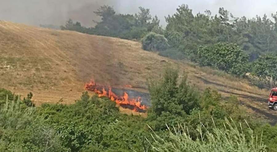 Adana'da orman yangını