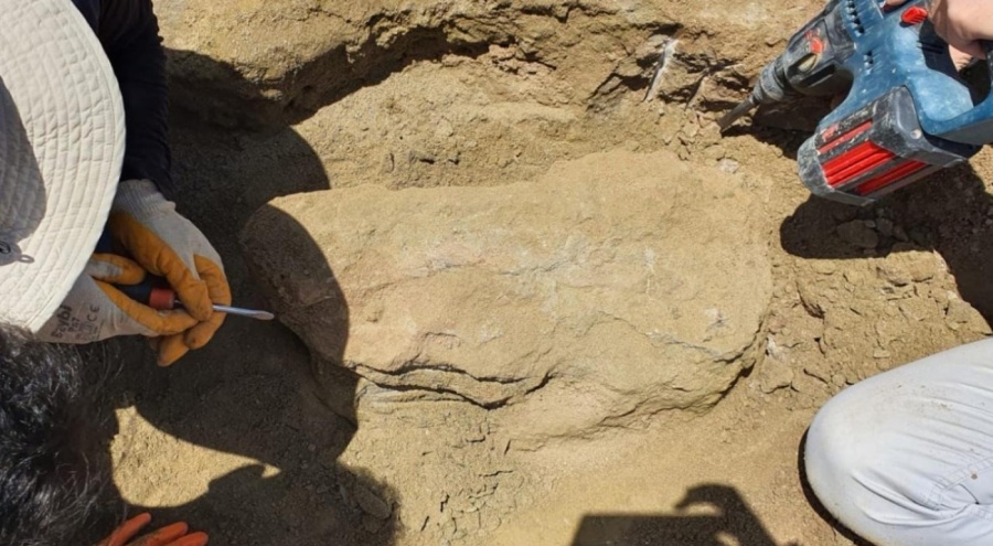 Gergedan fosiline ait yeni kemikler bulundu