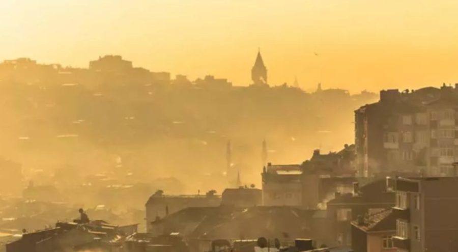 Büyükşehirlerde alerji vakaları daha yüksek