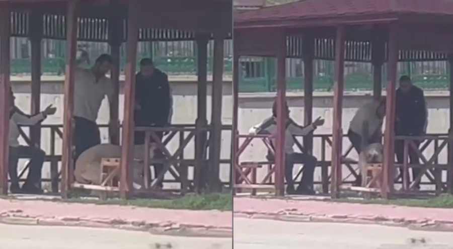 Köpeği kemerle döven şahıs serbest kaldı!