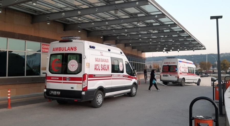 13 kişi mantardan zehirlendi