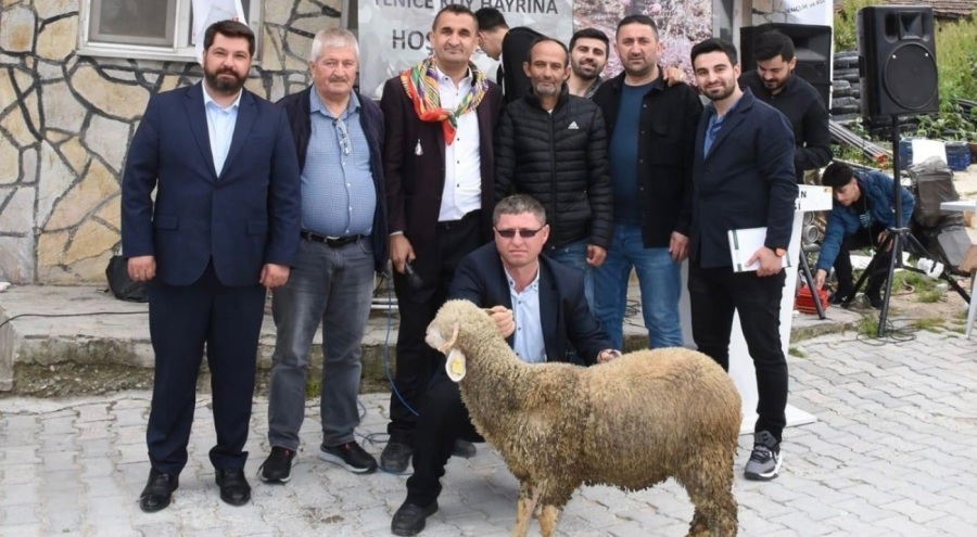 Bursa'da ağalık müzayedesinde kuzu rekor fiyata satıldı