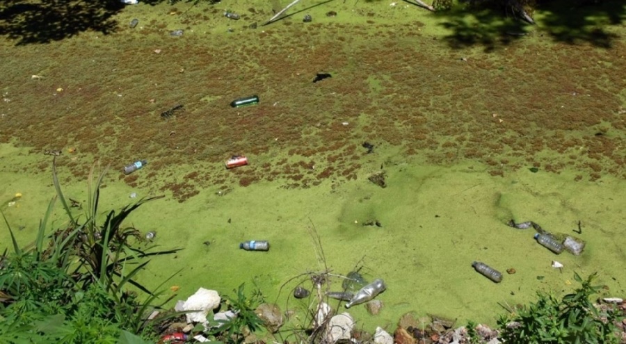 Bayır Deresi kirlilikten yeşile döndü