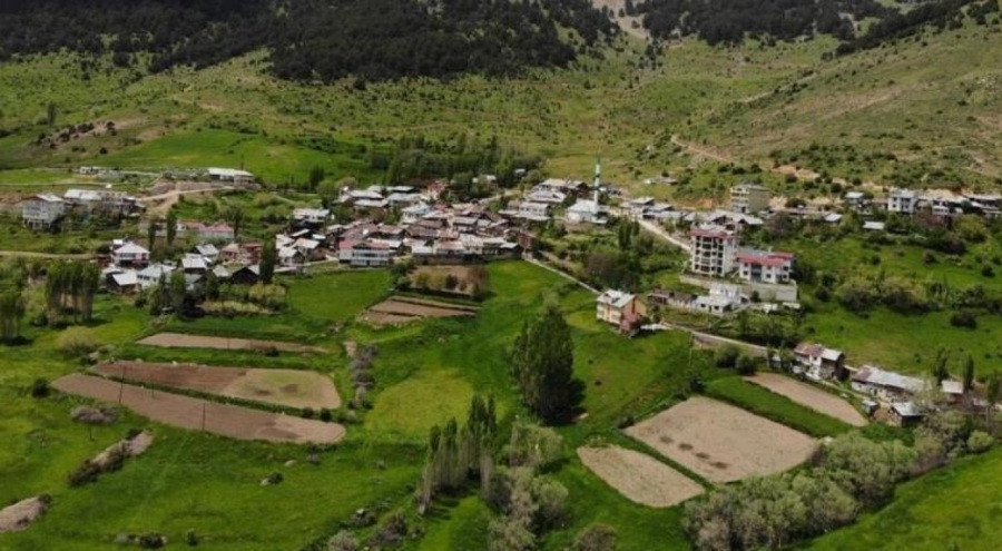 Çekirgeler köyü istila etti: 'Yatağa, mutfaka kadar giriyorlar'