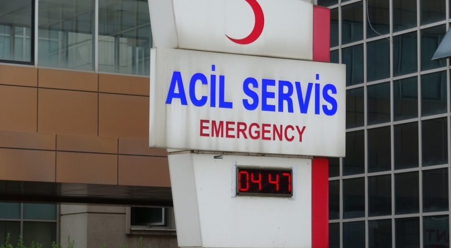 11 yaşındaki çocuğa ayı saldırdı