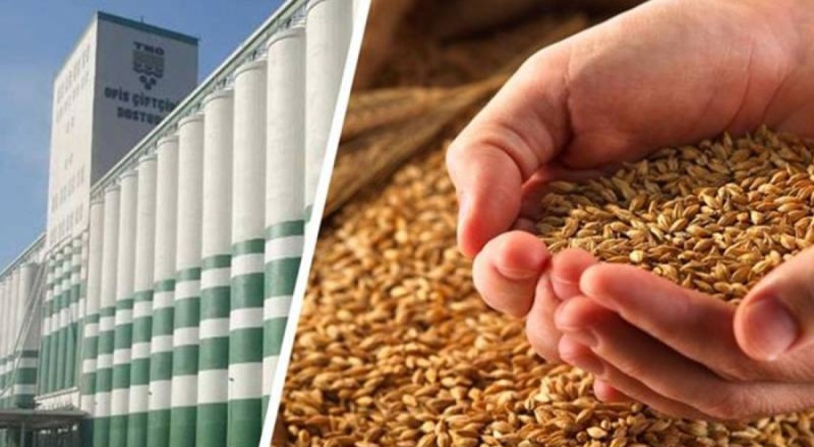 Toprak Mahsulleri Ofisi, 2023 hububat alım detaylarını duyurdu