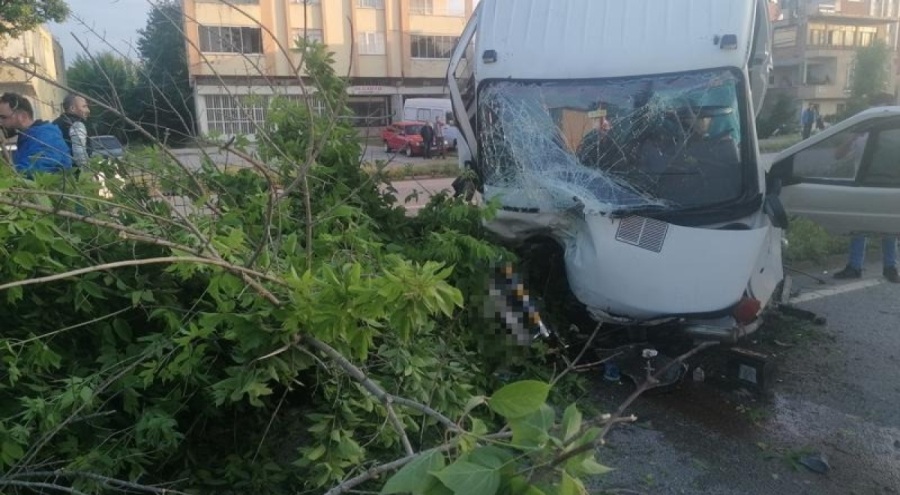 Samsun'da ağaca çarpan kamyonet ikiye ayrıldı: 2 yaralı