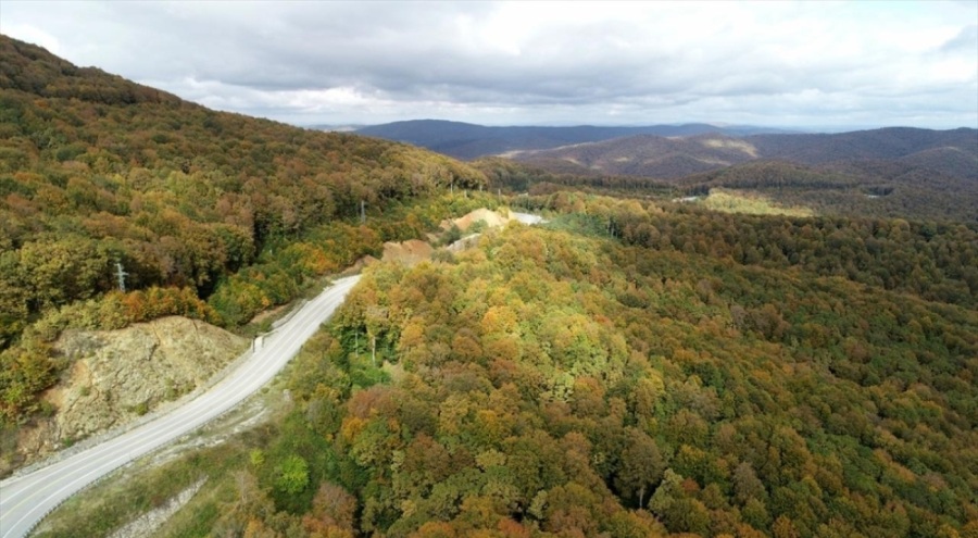 Kırklareli'nde ormanlık alanlara girişe yasak geldi
