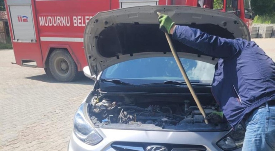 Bolu'da aracın motor kısmından yılan çıktı