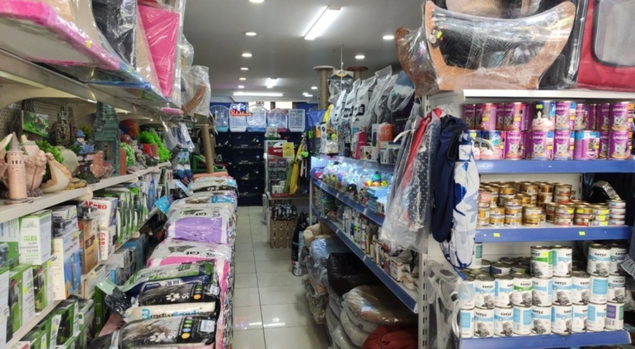 Petshoptan çaldıkları kuşları montlarının içine sakladılar!