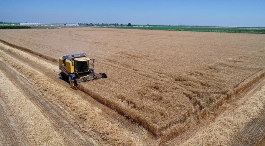 Bakan Yumaklı açıkladı: 124 milyon liralık destekleme ödemesi bugün hesaplarda