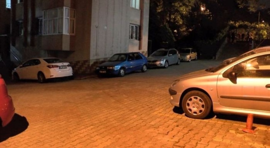İstanbul'da otoparktan çıkan otomobilin ezdiği köpek öldü