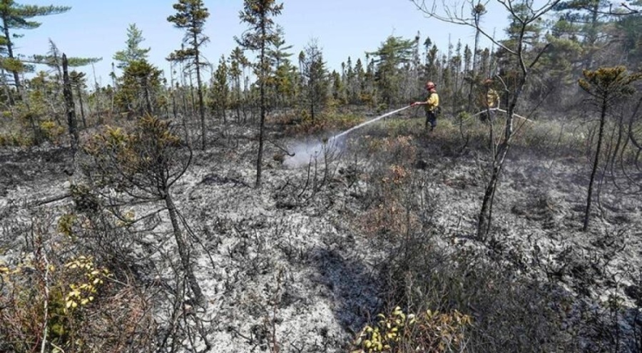 Kanada'daki orman yangınlarında 4,4 milyon hektarlık alan kül oldu