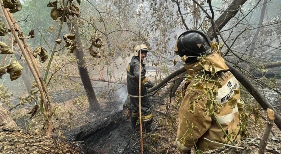 Kazakistan orman yangınıyla mücadele ediyor