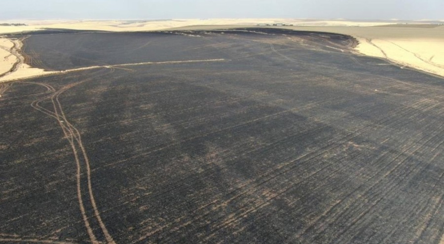 Sorumsuz vatandaş , 700 dönümlük buğday tarlasını kül etti