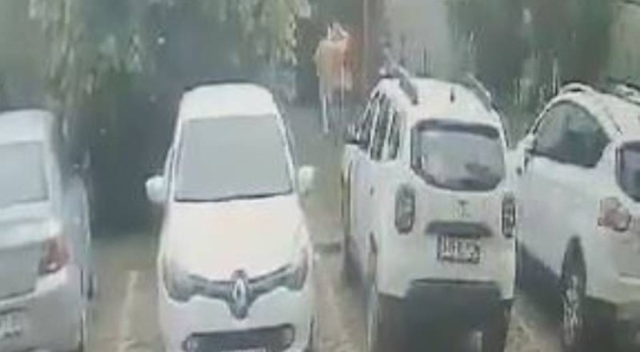 Yorgun mermi parkta oynayan çocuğu buldu