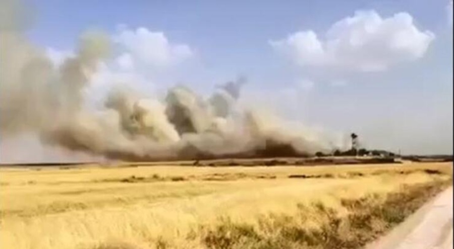 Mardin'de 150 dönümlük buğday arazisi yandı