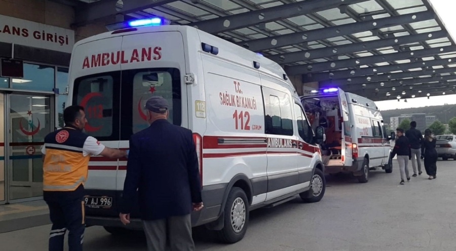 Çorum'da 19 kişi yedikleri mantardan zehirlendi