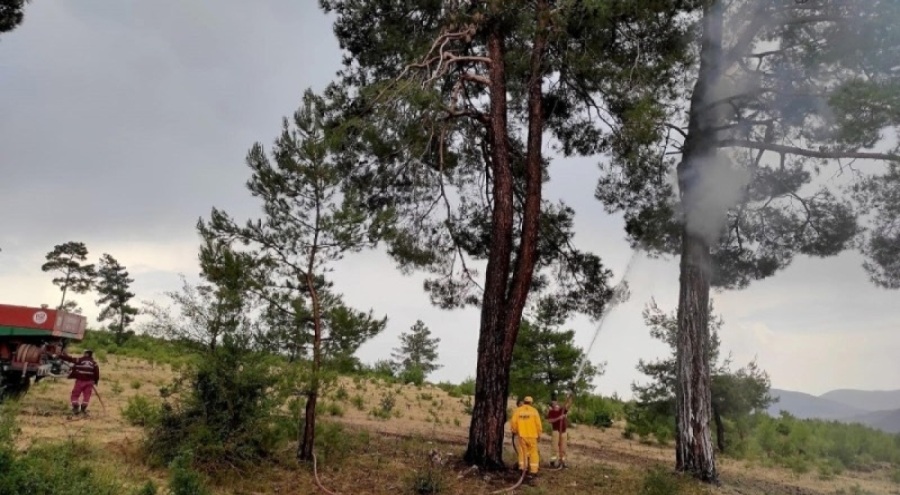 Muğla'da düşen yıldırımlar nedeniyle 28 orman yangını çıktı