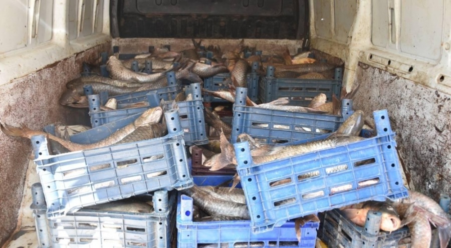 Şanlıurfa'da kaçak avlanan balıkçılara para cezası