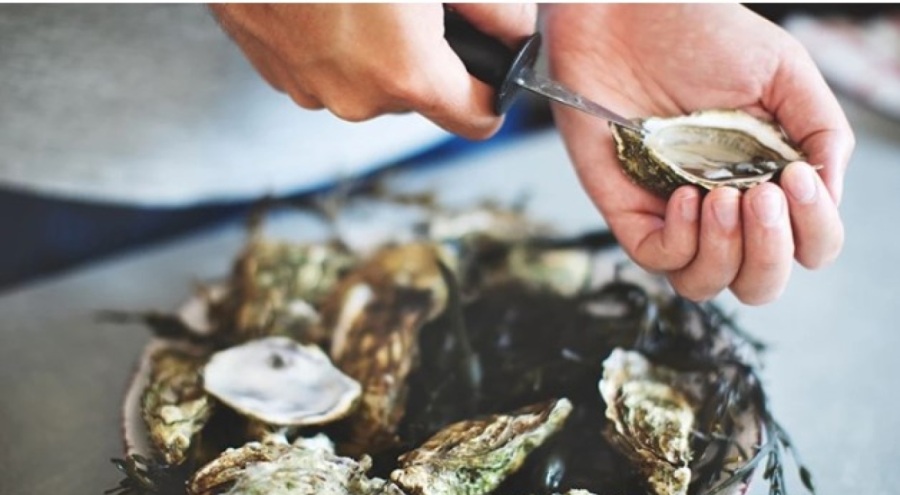 Çiğ istiridye yiyen adam hayatını kaybetti