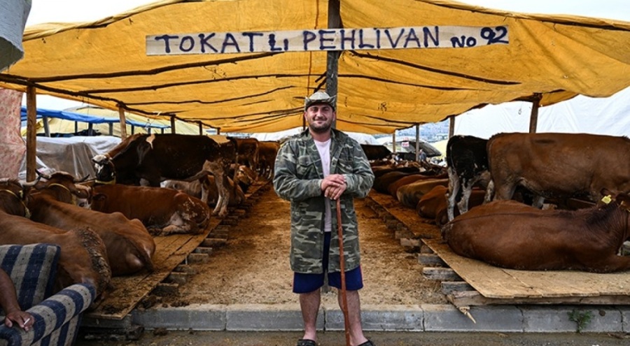 Ankara'da hayvan pazarları alıcıları bekliyor