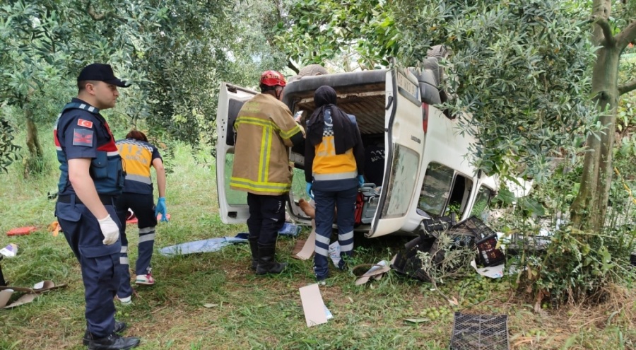 Bursalı çiftçi pazara erik satmaya giderken can verdi