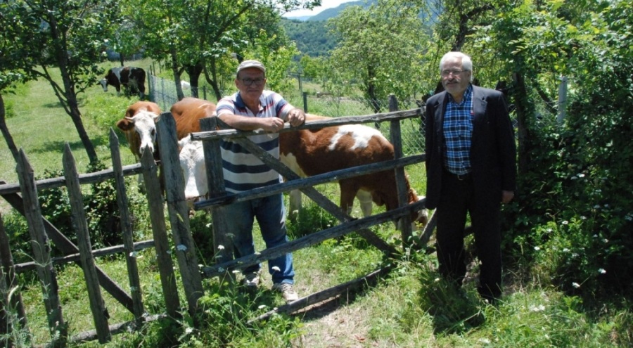 4 köy ve beldede şap karantinası başlatıldı!
