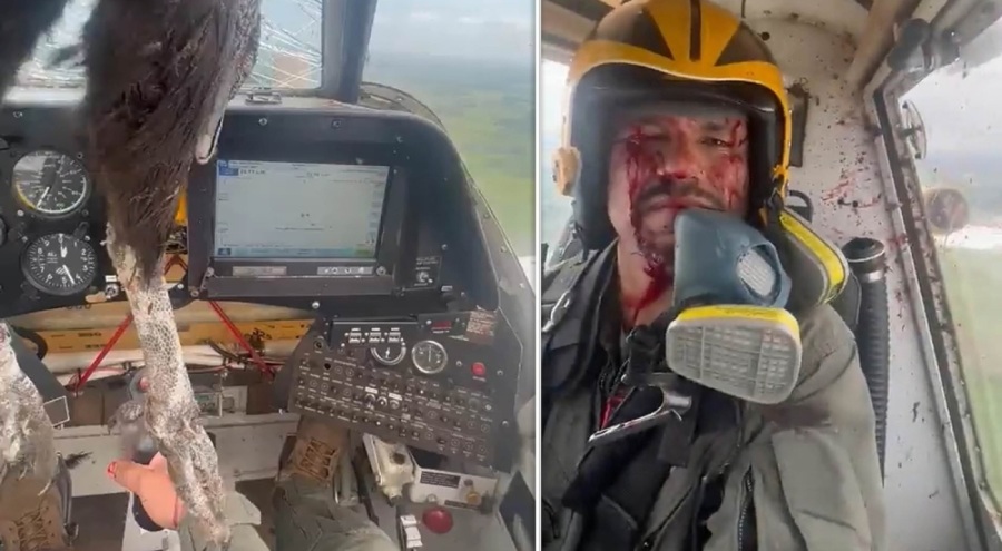 Uçağa çarpan kuş kokpite girdi, pilot kanlar içinde kaldı