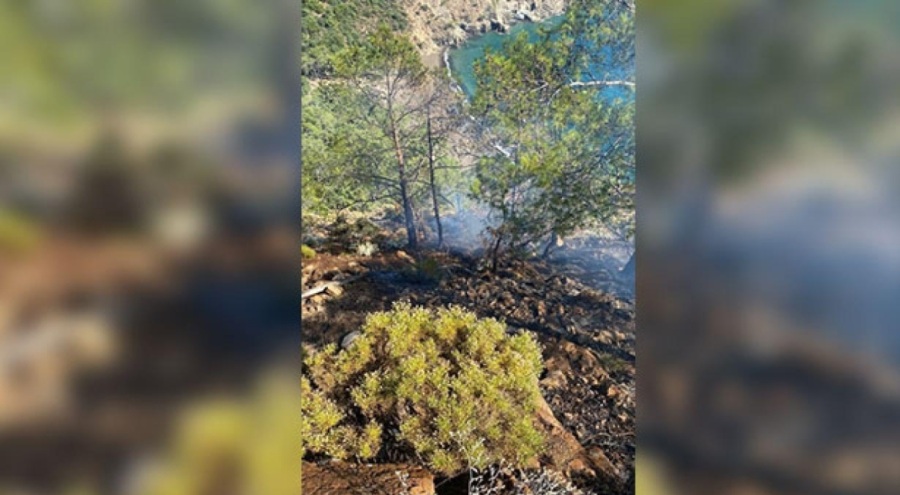 Fethiye'de yıldırım düşen ormanlık alanda yangın çıktı