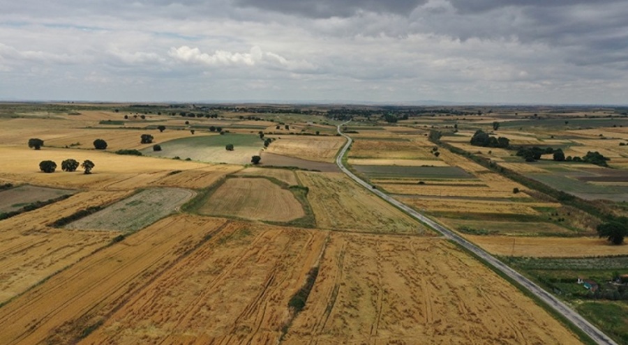 Trakya'da buğdayda rekolte beklentisini bahar yağmurları artırdı