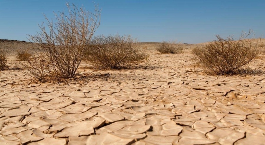TEMA Vakfı: Ülkemizin yüzde 73,4'ü çölleşme tehlikesi ile karşı karşıya