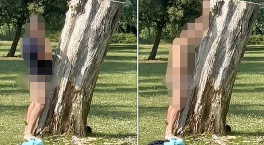 Ağaçla seks yapmaya çalışan adam gözaltına aldı!