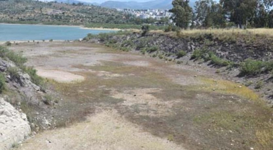 Muğla'da barajların doluluk oranı düştü! Bodrum'da kuraklık krizi