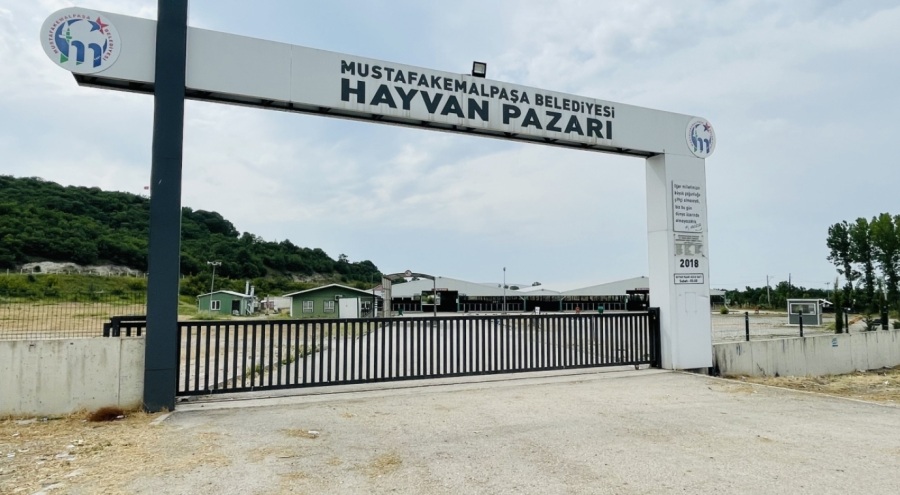 Bursa genelinde hayvan pazarlarında şap karantinası başlatıldı!