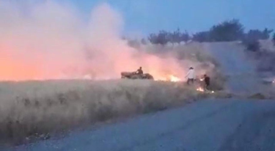 Malatya'da 2 bin dönümlük arpa ekili tarla yandı