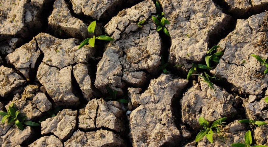 Türkiye çölleşme tehlikesi altında