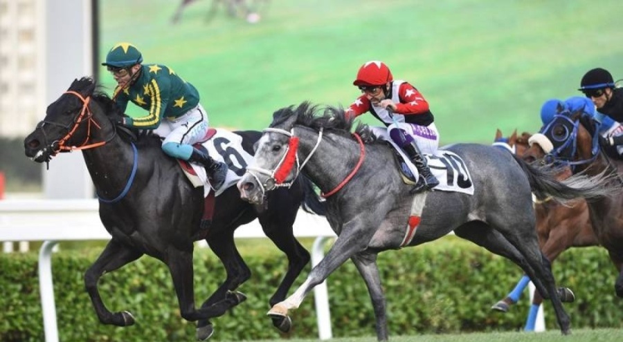 Gazi Koşusu'na katılacak atlar açıklandı