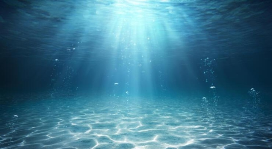 Okyanuslardaki biyoçeşitliliğin korunmasına yönelik anlaşma BM tarafından onaylandı