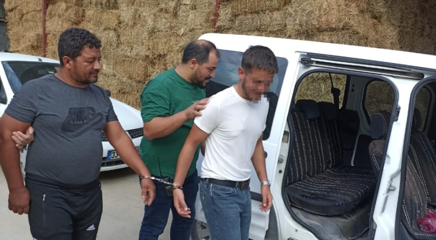 İneğe içki şişesinde sıvı içiren çiftlik çalışanı gözaltına alındı