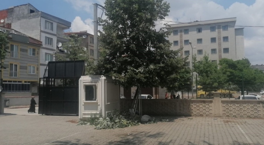 Bursa'da okulun bahçesindeki ağaçtan düştü!