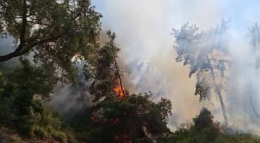 Antalya'da korkutan orman yangını!