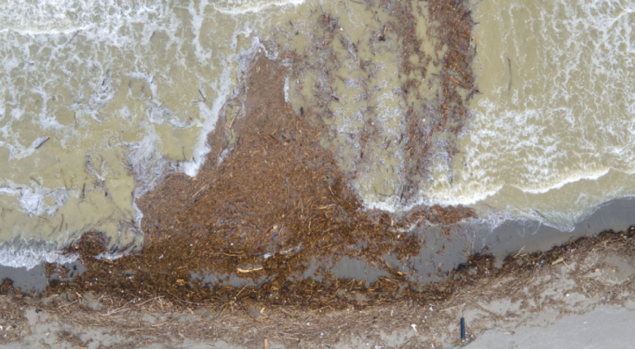 Sakarya'da sahilinde 16 metrelik kirlilik oluştu