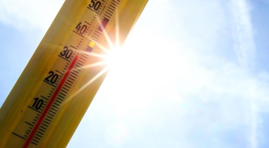 Meksika'da aşırı sıcaklardan ölenlerin sayısı 37'ye yükseldi