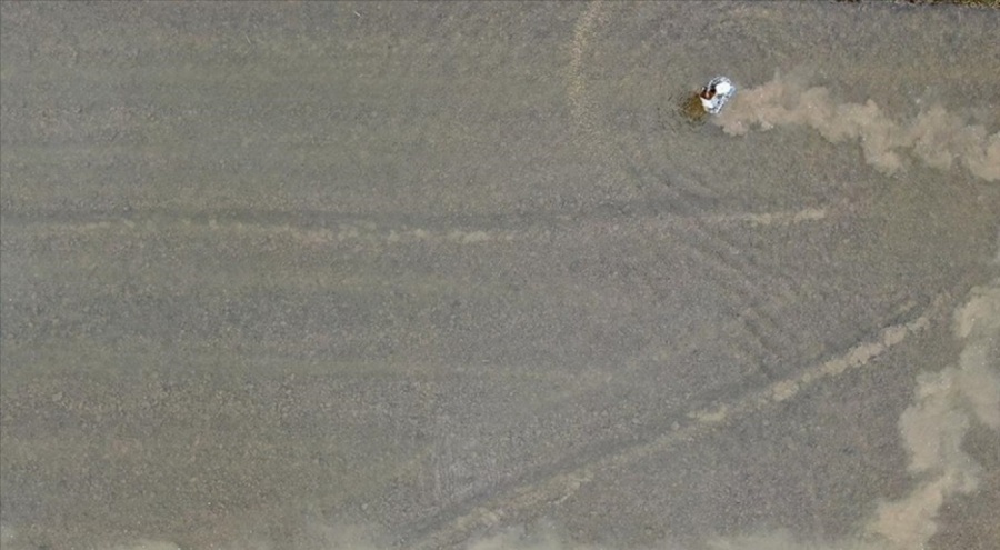 Kuzey Koreli çocuklar pirinç tarlalarındaki sudan rahatsızlandı