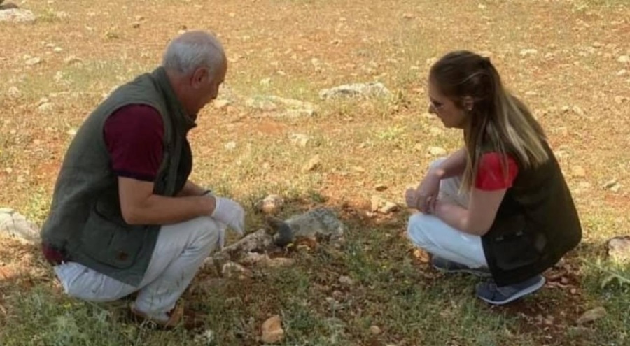 Kaçak sincap avlayan kişiye ceza