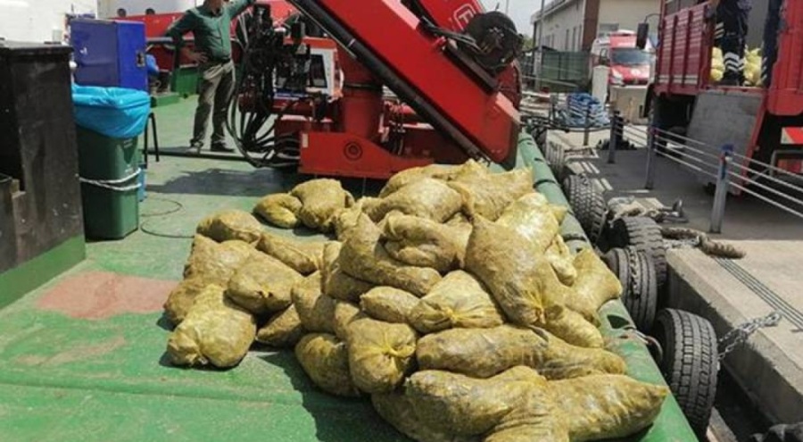Marmara Denizi'nde kaçak midye avı
