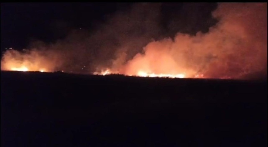 Yıldırım düşen tarla küle döndü