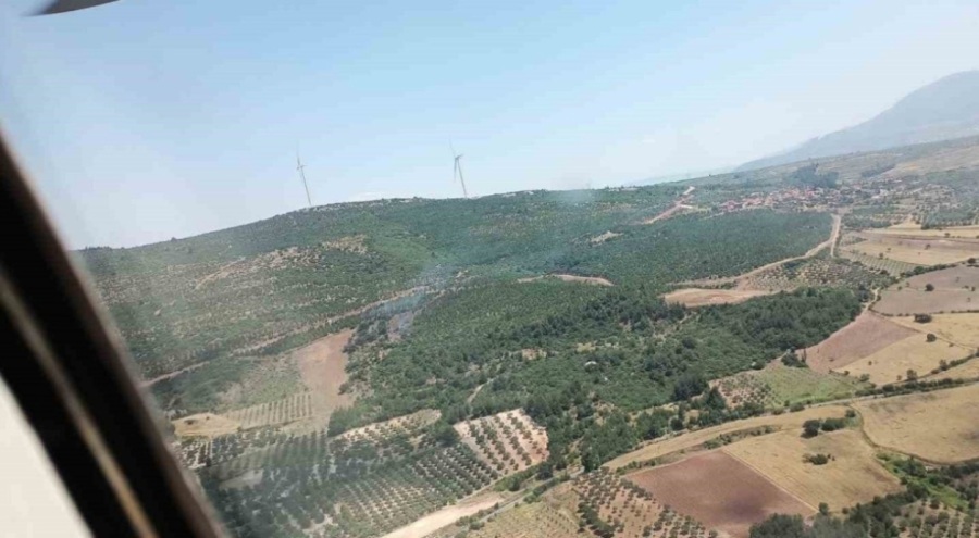 Manisa'da çıkan orman yangını kontrol altına alındı